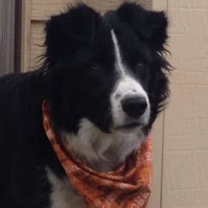 Meet your Posher, Vicki